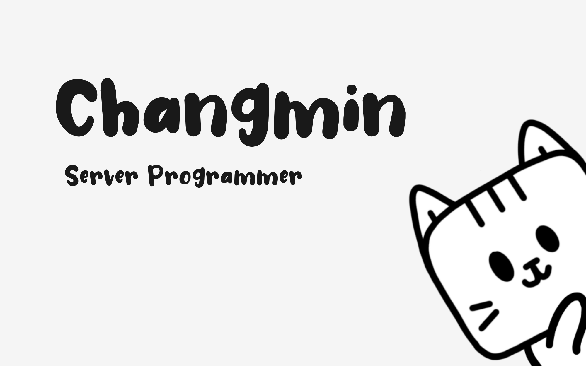 Server Programmer: Fascination Of The Unseen
